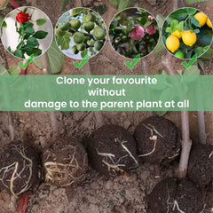 Rooting Balls Pack of 5 with Pot Mix Combo