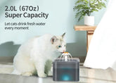 2L Small Pet Water Fountain for Kitten & Small Dogs