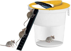 Slide Bucket Lid Mouse Rat Trap with Ramp